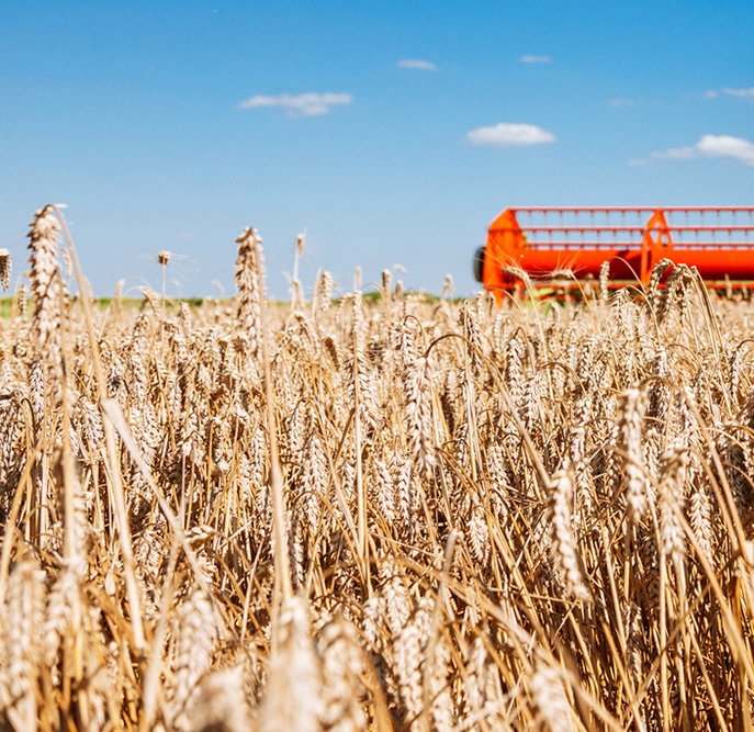 Enjeux agricoles : rendez-vous est donné aux Etats généraux de l'alimentation