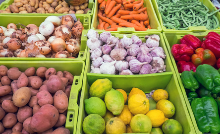 L’agriculture africaine pourrait générer un CA annuel de 1000 milliards de dollars en 2030
