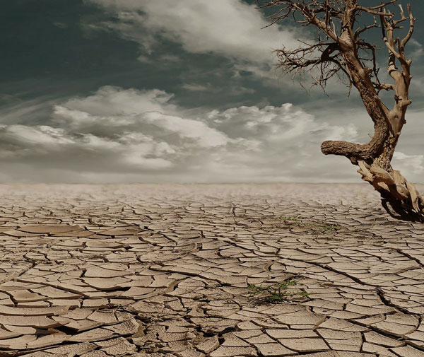 L’Afrique sub-saharienne au risque du dérèglement climatique