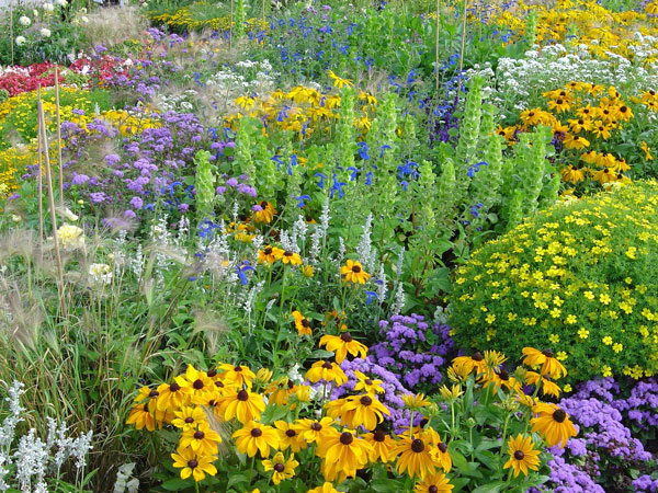 L'agro-biodiversité, facteur de succès du développement durable.