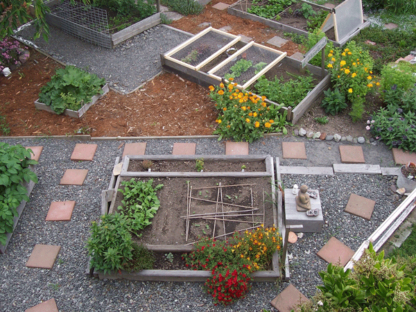 Un nouveau métier est né : agriculteur urbain