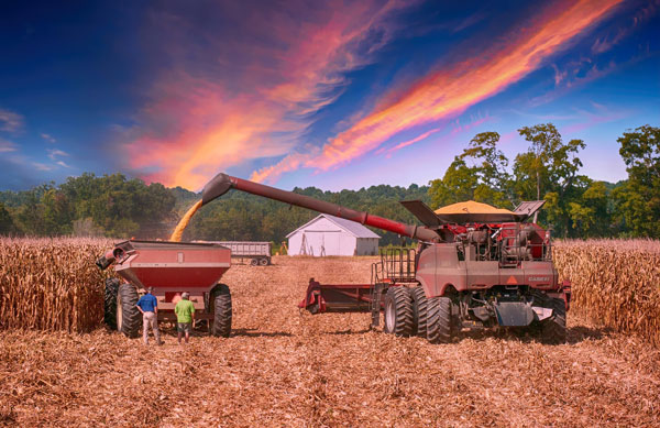 International agricultural trade