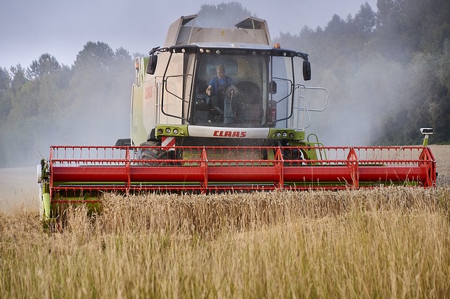 La Nina pourrait (enfin) provoquer une hausse des cours du blé