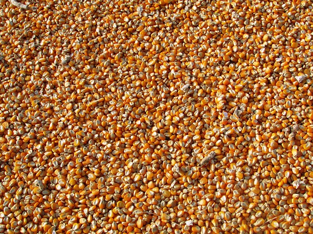 Matières premières agricoles : toujours la déprime.