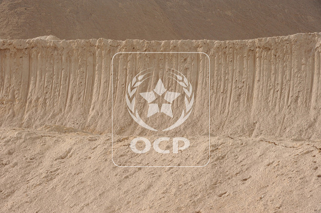 500 leaders mondiaux des engrais en conclave à Marrakech