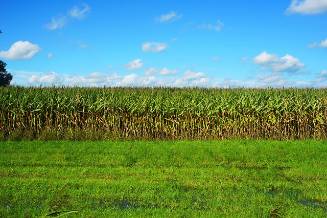 Hausse des prix des produits agricoles en 2018