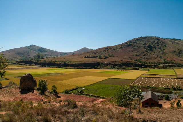 LES POTENTIALITÉS (INEXPLOITÉES) DE L’AGRICULTURE MALGACHE