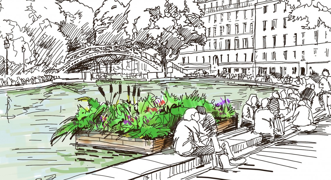 Des radeaux végétalisés pour dépolluer les cours d’eau