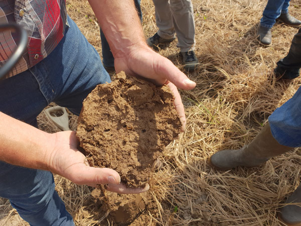 L’AGROÉCOLOGIE : UNE VOIE D’AVENIR À EXPLORER POUR LES PETITES EXPLOITATIONS SUBSAHARIENNES