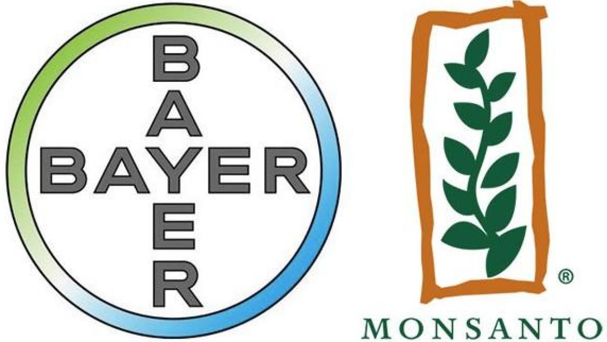 La capitalisation boursière de Bayer a fondu de € 30 milliards