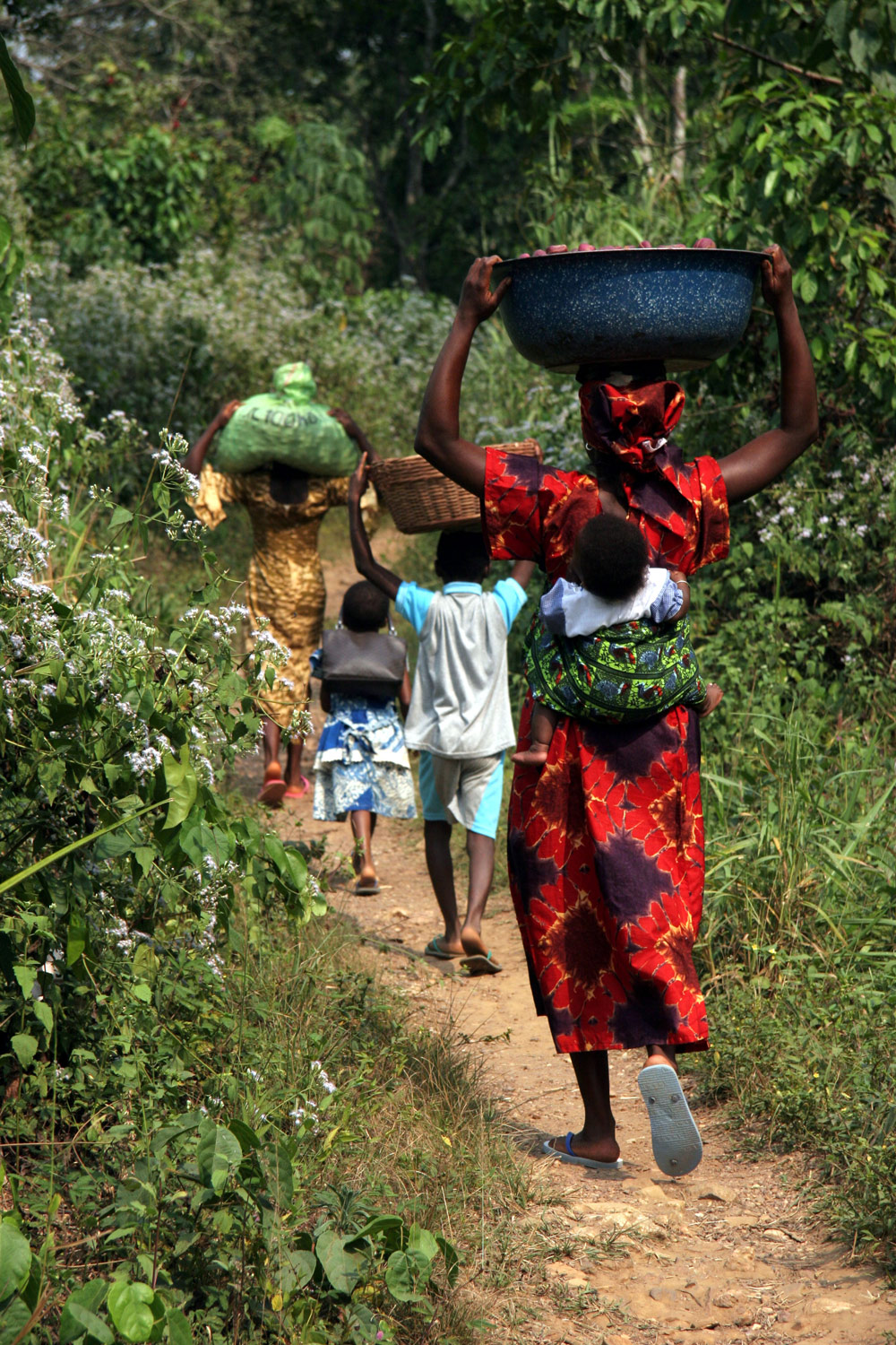 La FAO et la BAD investissent $ 100 millions dans l’agriculture africaine