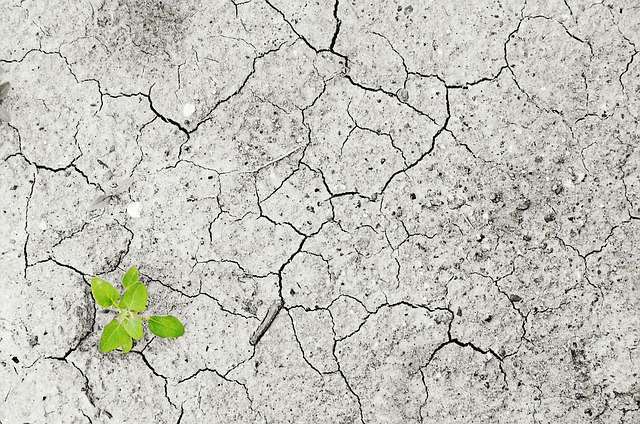 Nouveau programme de la FAO pour réduire la dégradation des sols africains