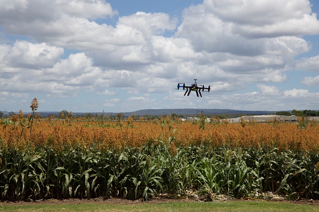 L’imagerie au service de l’agriculture indienne