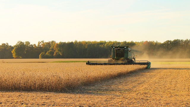 Forte baisse des prix agricoles mondiaux en juillet