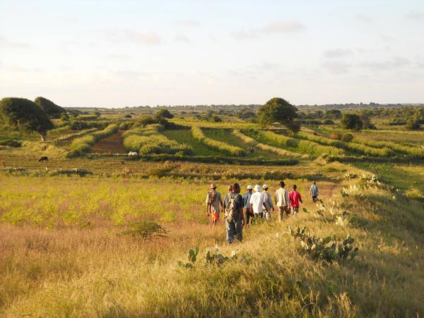La marchandisation du foncier rural en Afrique, enjeux et perspectives