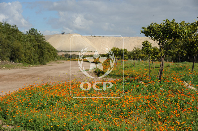 OCP accroît sa production d‘engrais pour l’Afrique