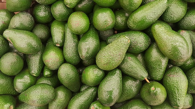 Fièvre de l’avocat en Afrique du Sud