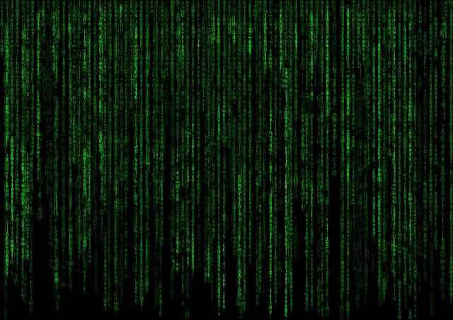 Une ferme américaine gérée par un algorithme