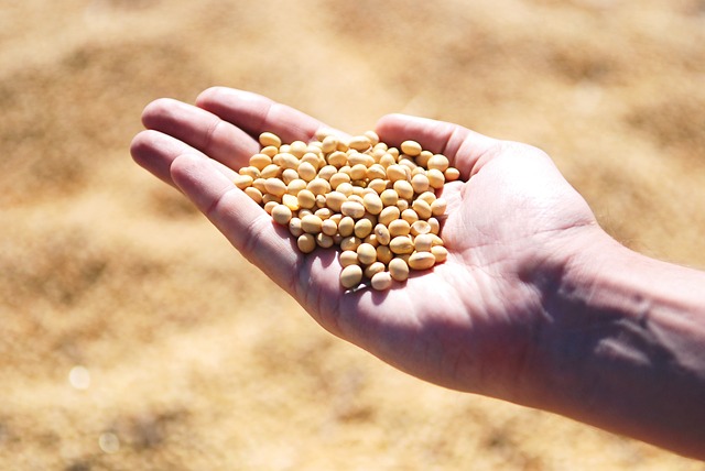 L’Iran vole au secours des producteurs de soja américains