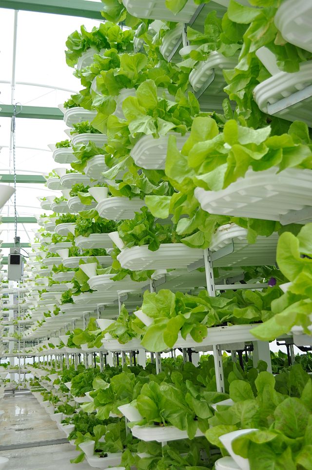 Construction aux Émirats Arabes Unis de la plus grande ferme verticale du monde