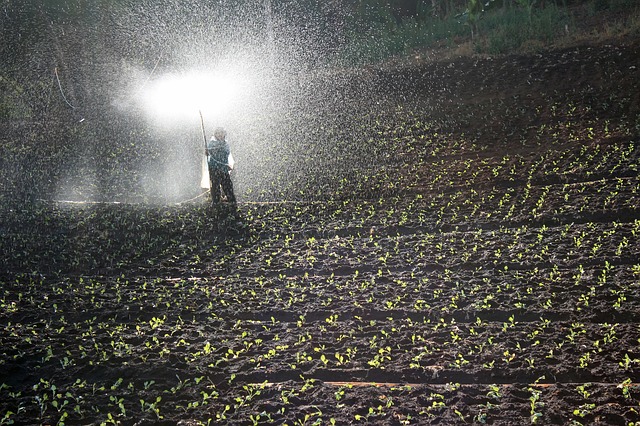 Doublement de la consommation africaine d’engrais d’ici 2030