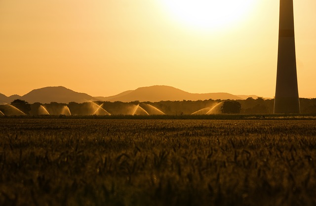Projet d’irrigation d’un million d’hectares au Sahel
