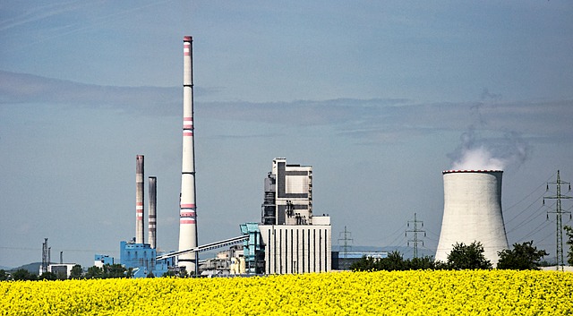 Des quantités croissantes d’huile de palme dans le biodiesel européen