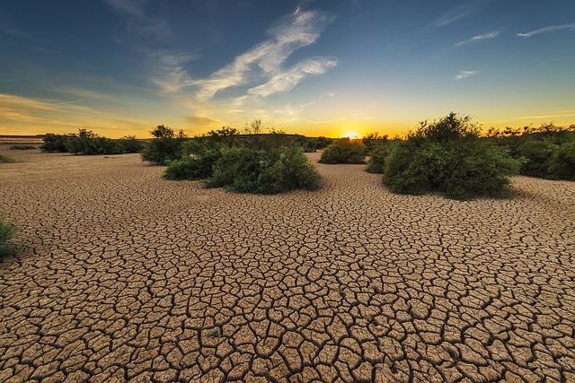 AGRICULTURE CLIMATO-INTELLIGENTE, AGROECOLOGIE ET CARBONE DU SOL