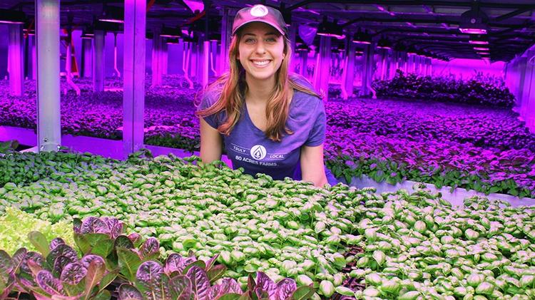 Une ferme verticale close complètement automatisée