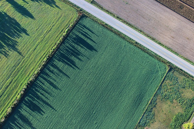 Le prix du foncier agricole dans le monde continue sa progression, mais à un rythme plus lent