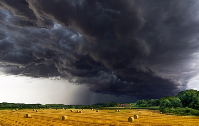 Comment faire face aux vents mauvais  qui soufflent sur l’agriculture ?