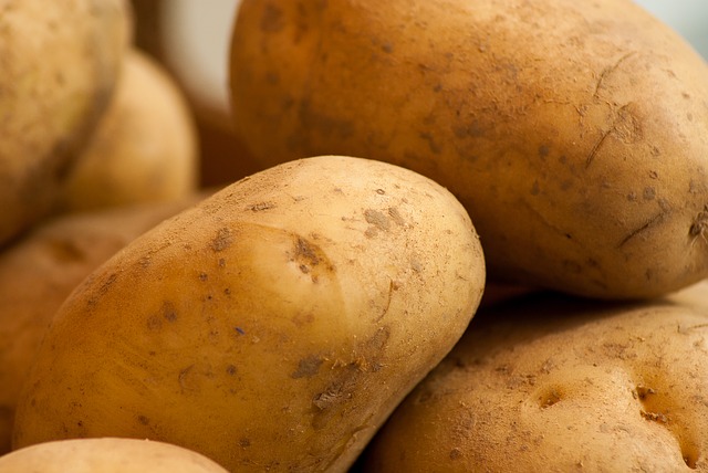 ​La demande mondiale de pommes de terre continue de croître à un rythme soutenu