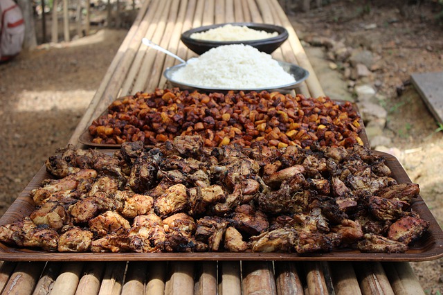 Revue des Initiatives internationales  sur l’alimentation et l’agriculture en Afrique