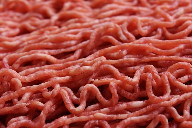 L’élevage brésilien confronté à la fraude et aux exigences écologiques