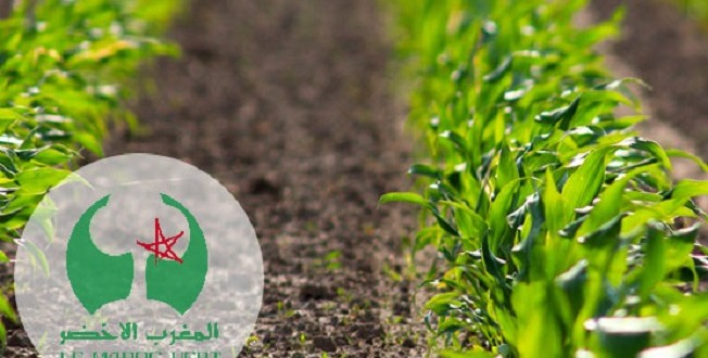 Le PIB agricole marocain a doublé en dix ans