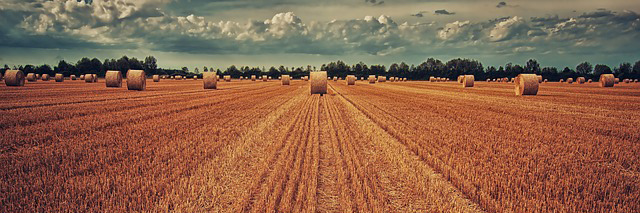 Panorama de l’Agriculture de l’Union européenne en 2030