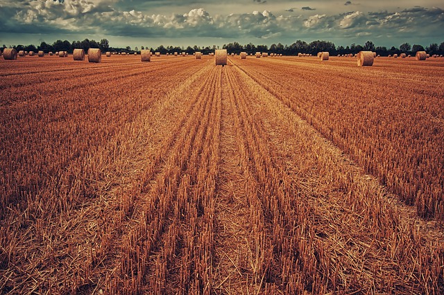 Les milliards pleuvent sur l’agriculture