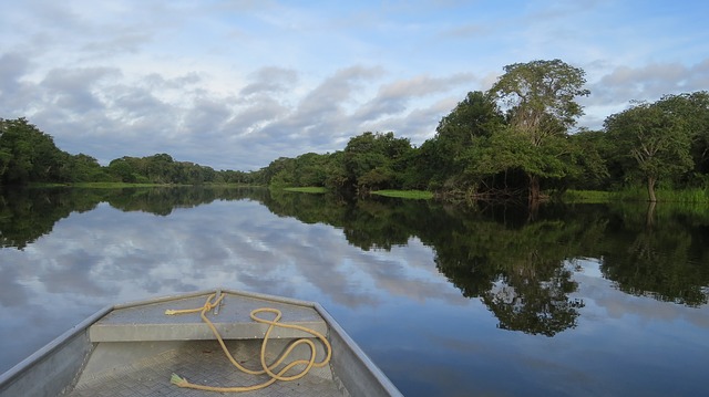 La déforestation de l’Amazonie progresse de 40% en douze mois