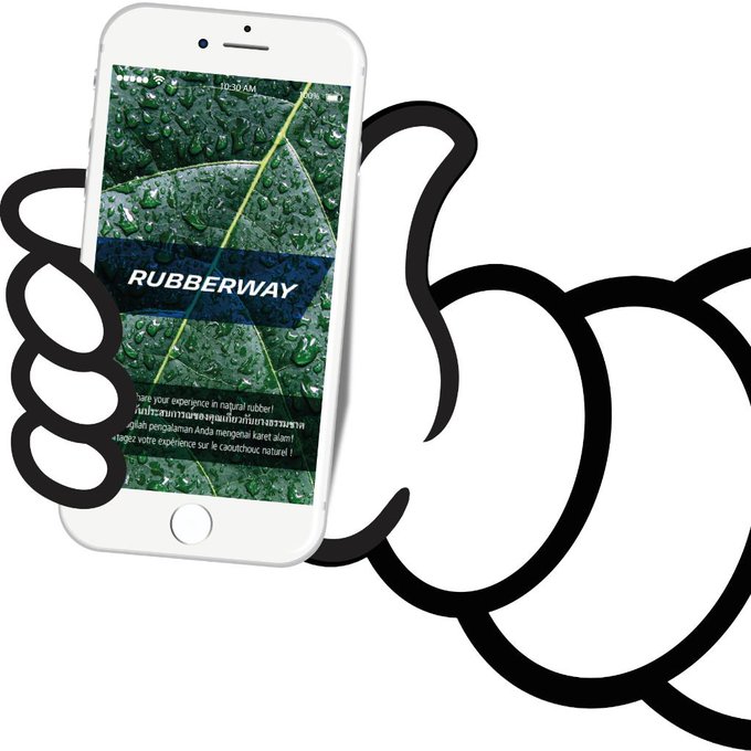 Rubberway cartographie les pratiques durables de la filière du caoutchouc naturel