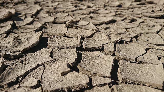 L’agriculture africaine, victime innocente du changement climatique