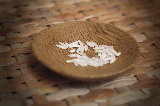 Inquiétante insécurité alimentaire Africaine