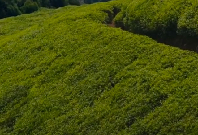 OCP s’engage en faveur de la conservation des sols en Afrique