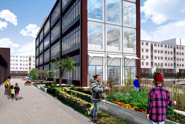 Proliferation of market gardening 'towers' in urban areas
