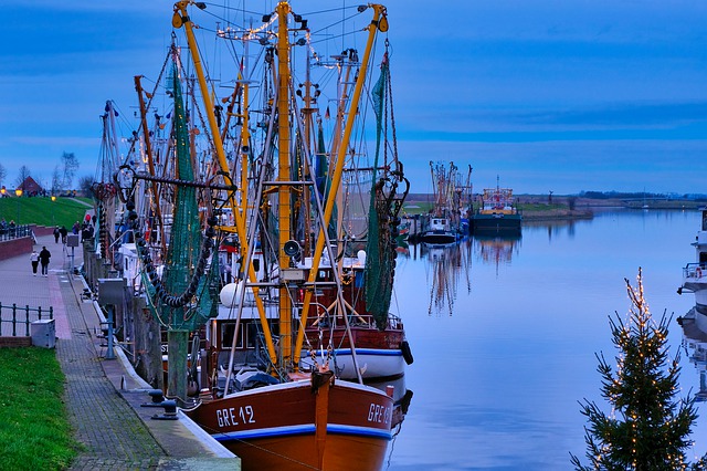 Mort de la pêche durable ?