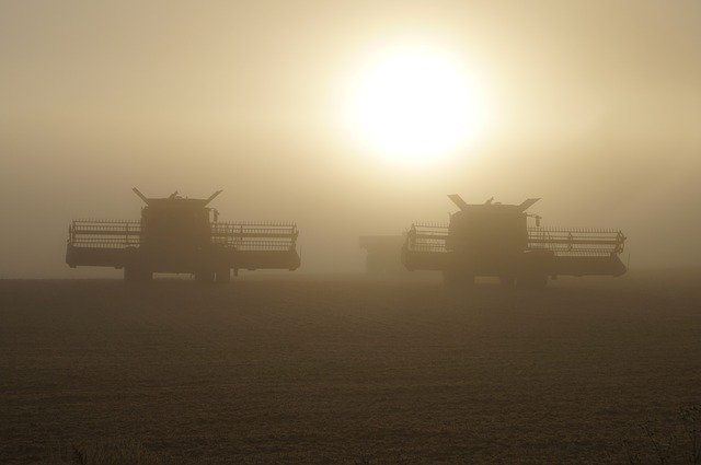 Le FEM finance des projets de résilience de l’agriculture en Afrique