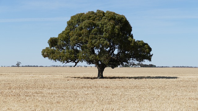 Le changement climatique obère le revenu des agriculteurs australiens