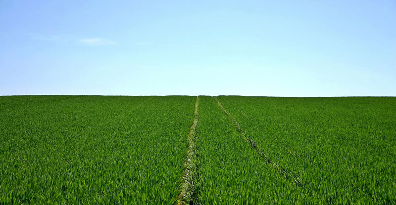 10.6 million acres of illegal farms in Ukraine