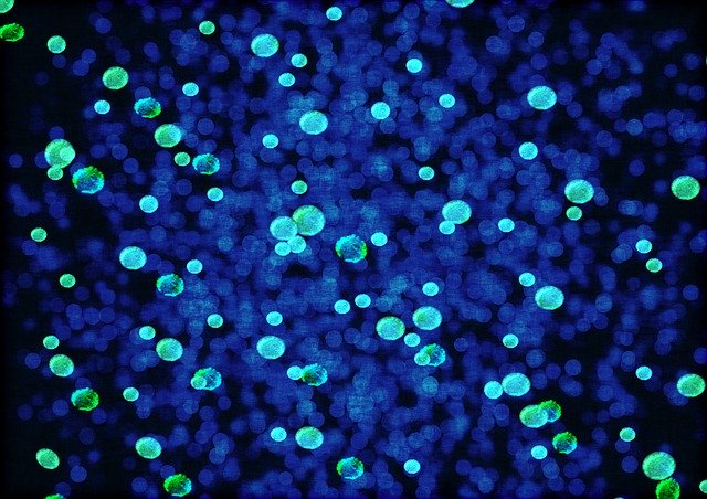 Dis-moi quel est ton microbiome, je te dirai quelles maladies tu attraperas