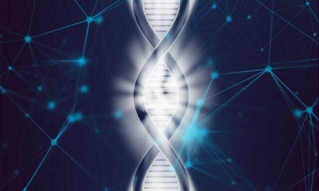 GENOTYPING CHIPS FOR WHEAT