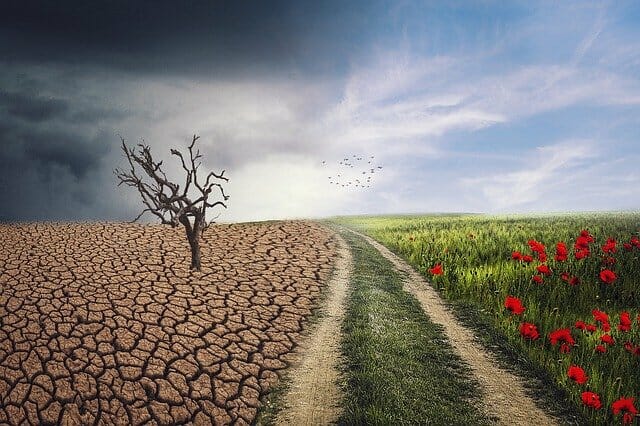 Le big data météorologique accroît la productivité agricole